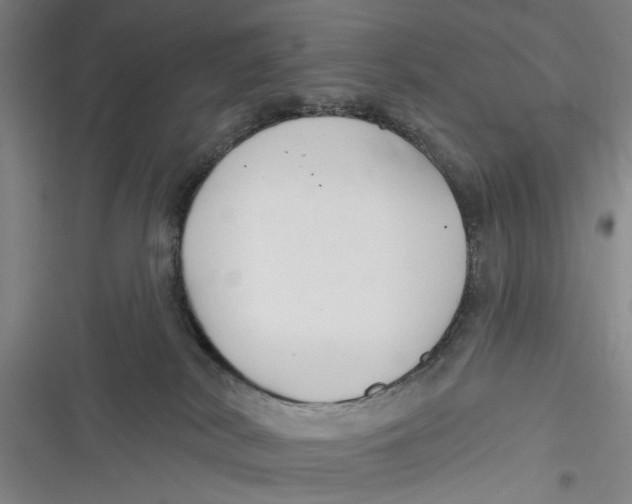 X0000116850038201001121229