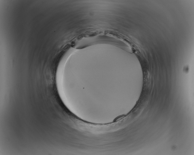 X0000116850039201001121229