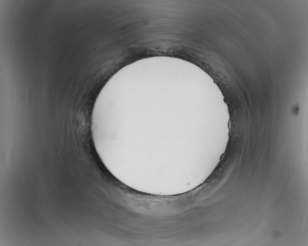 X0000116850040201001121229