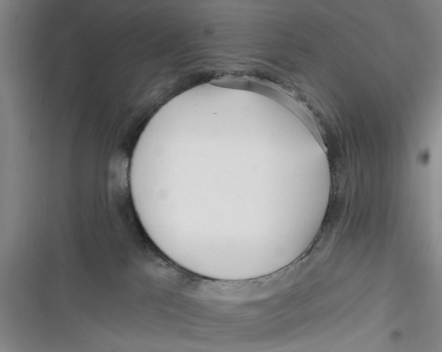 X0000116850041201001121229