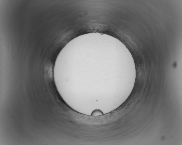 X0000116850042201001121229