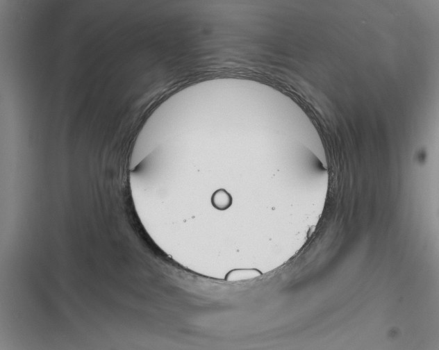 X0000116850043201001121229