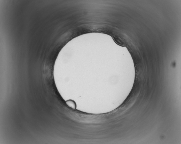 X0000116850044201001121229