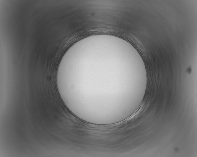 X0000116850045201001121229