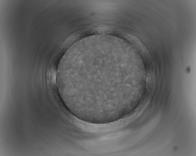 X0000116850046201001121229
