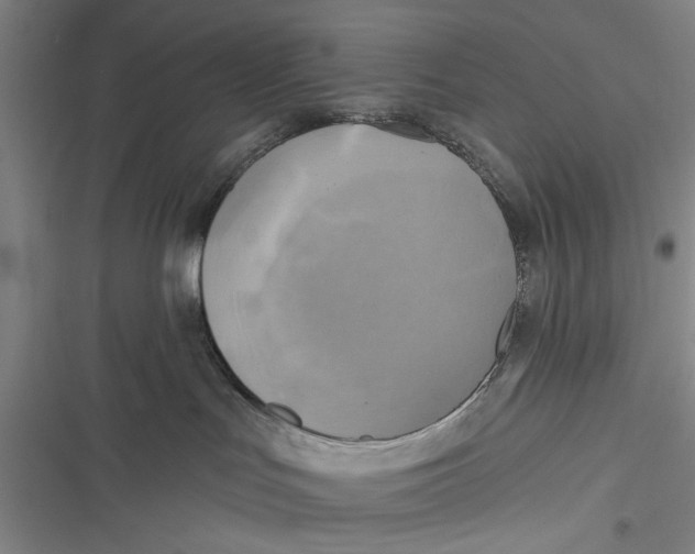 X0000116850047201001121229