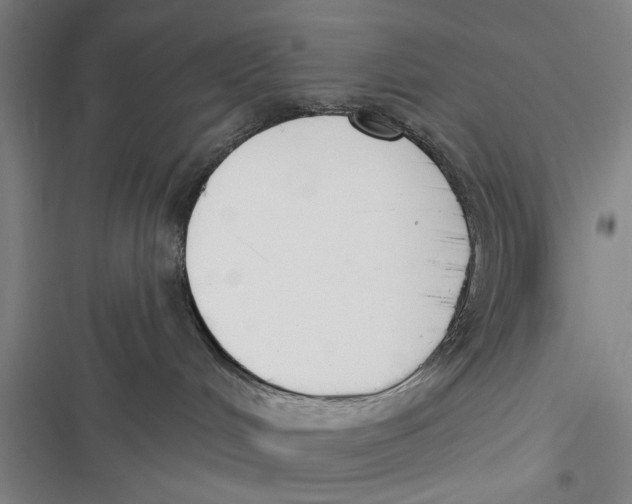 X0000116850048201001121229