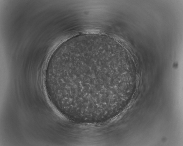 X0000116850049201001121228