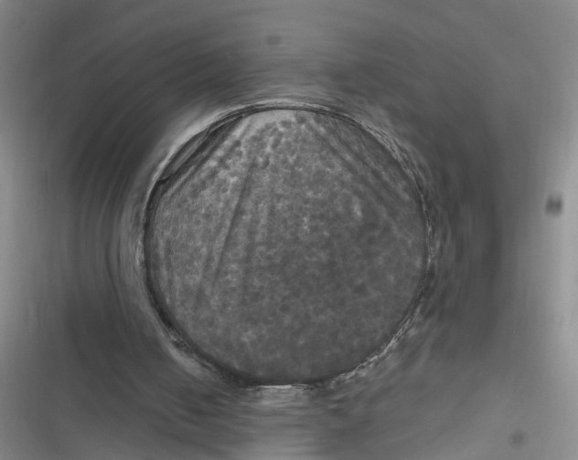 X0000116850050201001121228