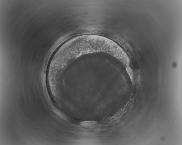 X0000116850051201001121228