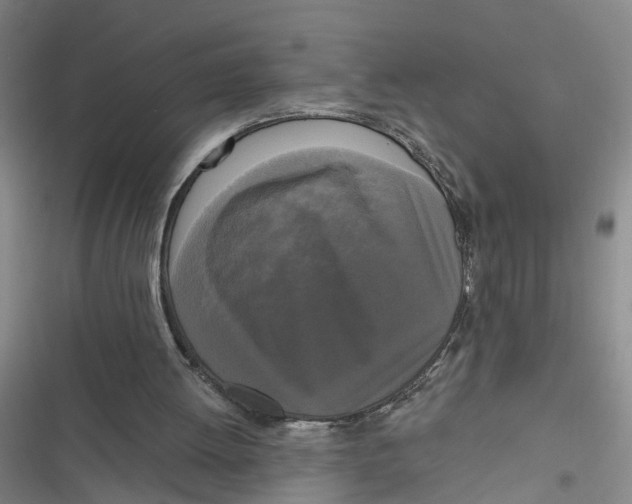 X0000116850052201001121228