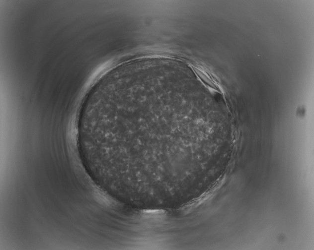 X0000116850053201001121228