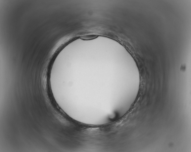 X0000116850054201001121228