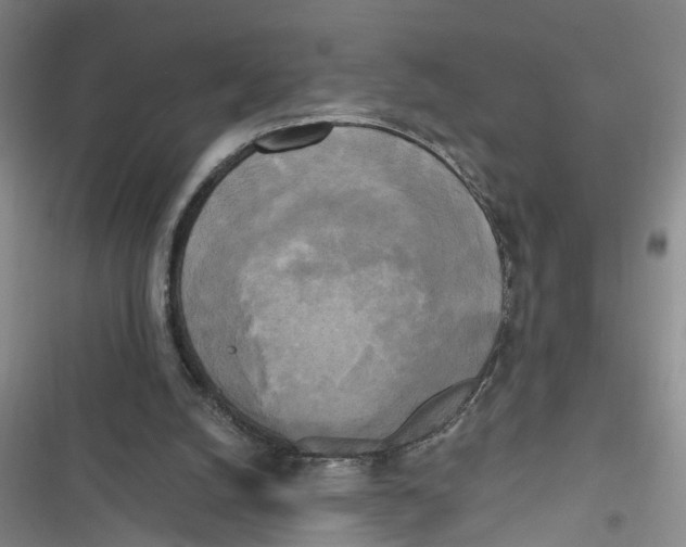 X0000116850056201001121228