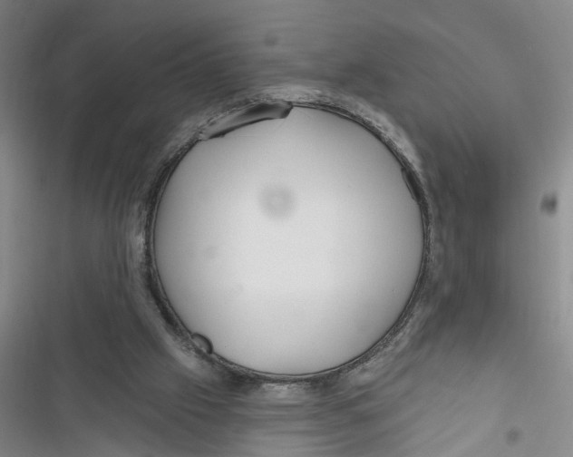 X0000116850057201001121228