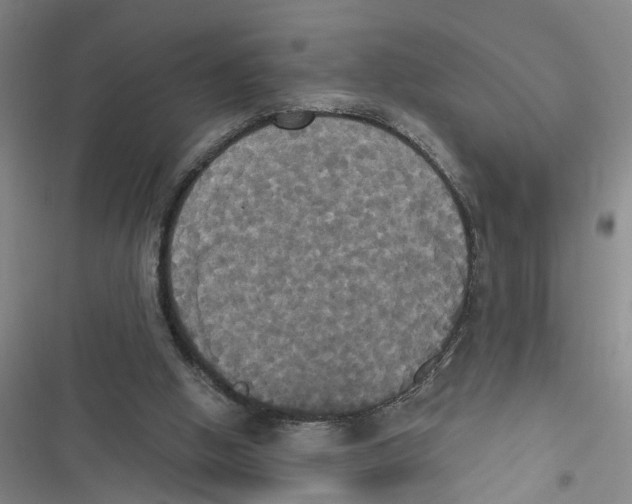 X0000116850058201001121228