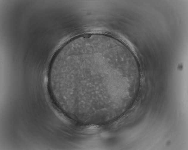 X0000116850059201001121228