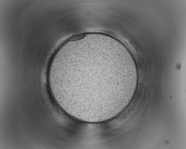 X0000116850060201001121228
