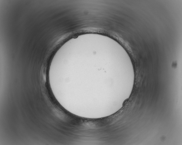 X0000116850062201001121228