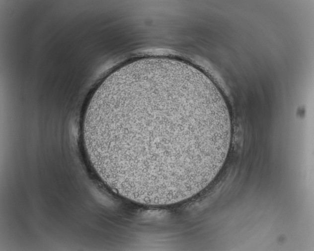X0000116850063201001121228