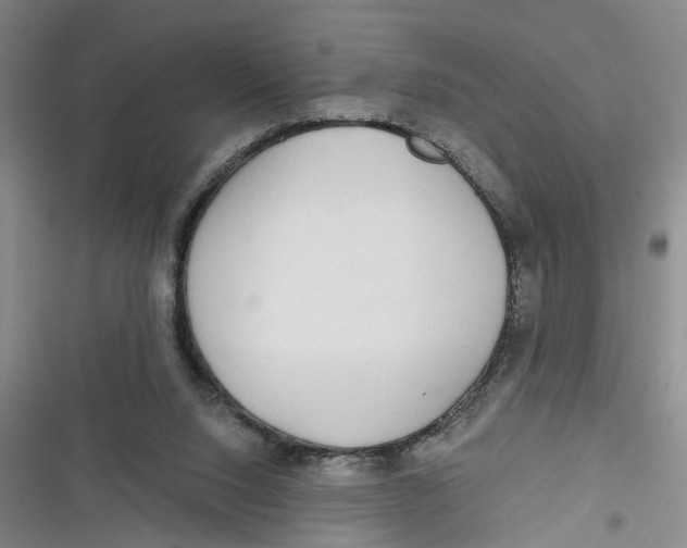 X0000116850064201001121228