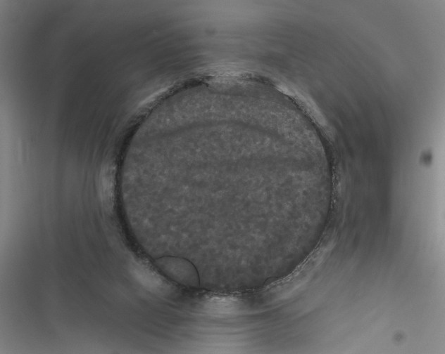 X0000116850066201001121228