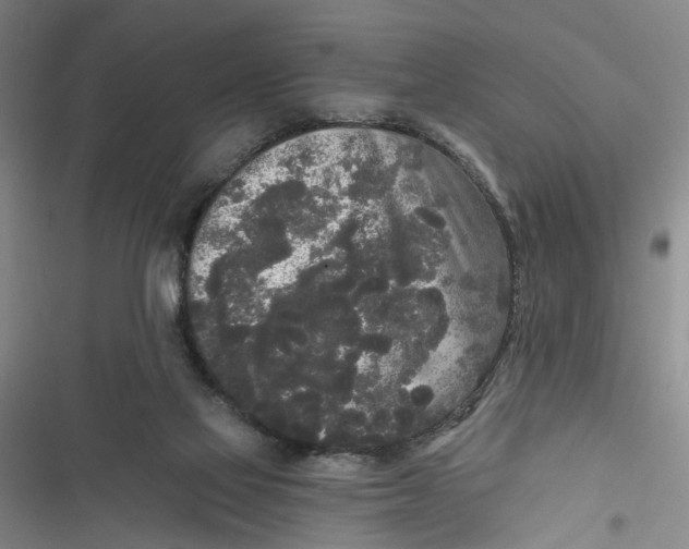 X0000116850069201001121228