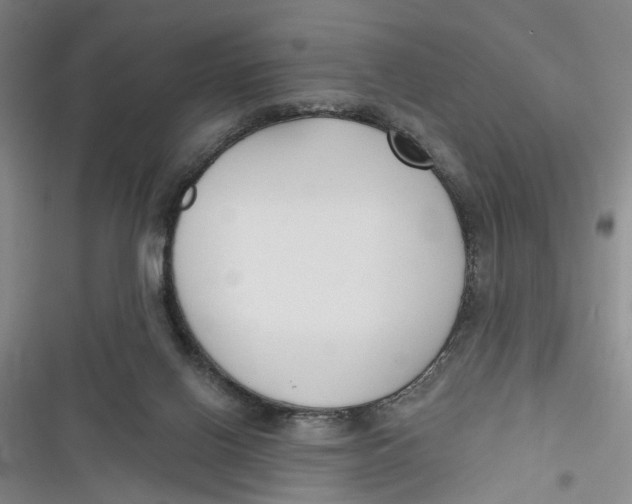X0000116850070201001121228