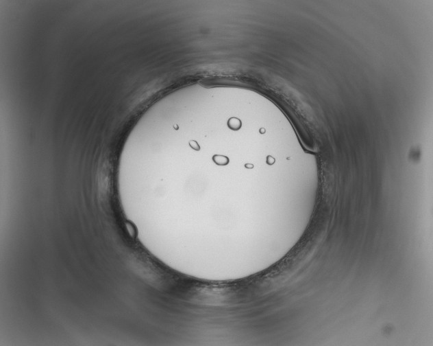 X0000116850071201001121228