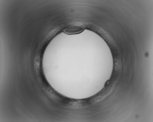 X0000116850072201001121228