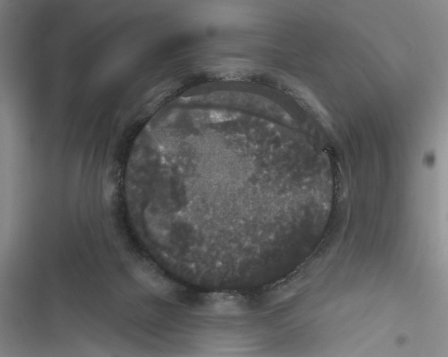 X0000116850073201001121228