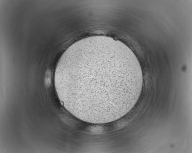 X0000116850075201001121228