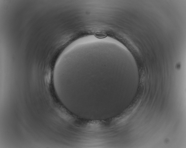 X0000116850076201001121228