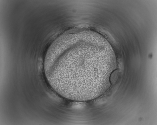 X0000116850077201001121228
