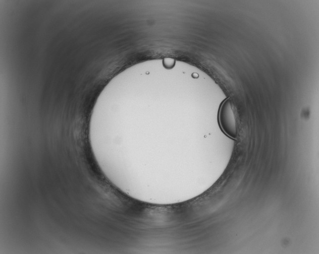 X0000116850079201001121229