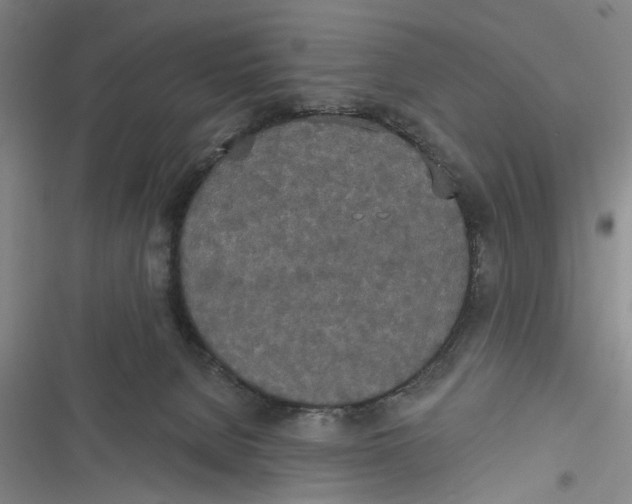 X0000116850080201001121229