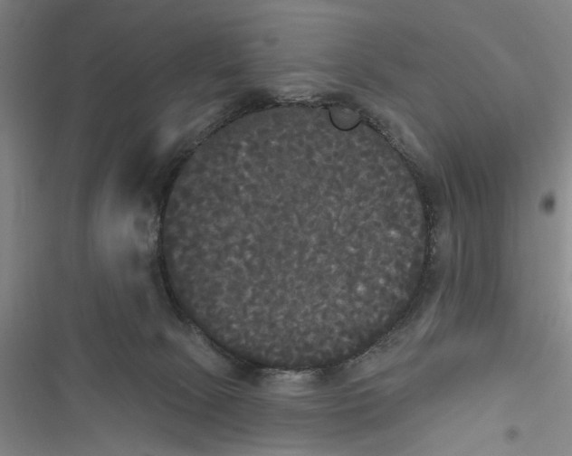 X0000116850081201001121229
