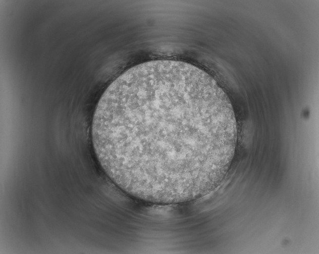 X0000116850086201001121229