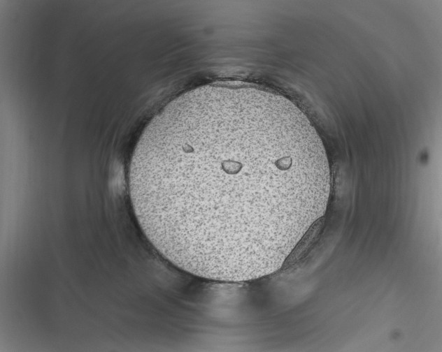 X0000116850089201001121229