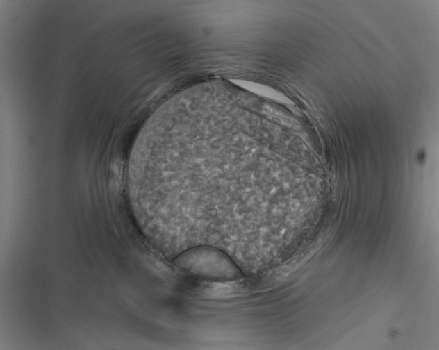 X0000116850093201001121229