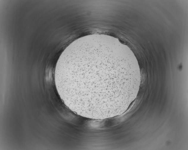 X0000116850094201001121229