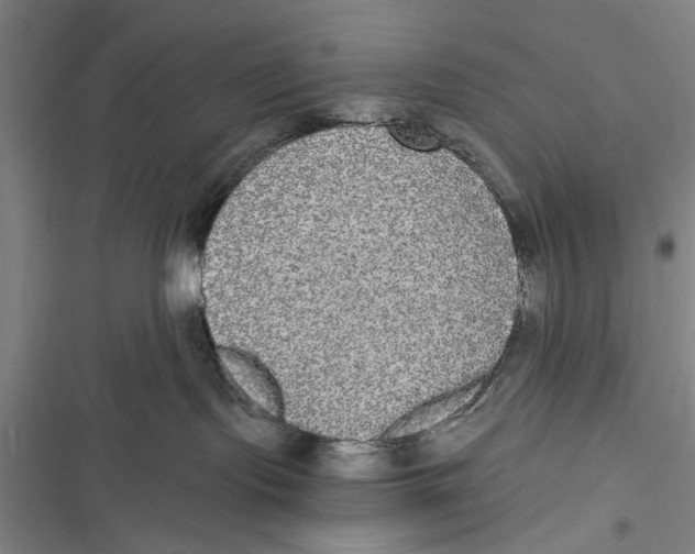 X0000116850095201001121229
