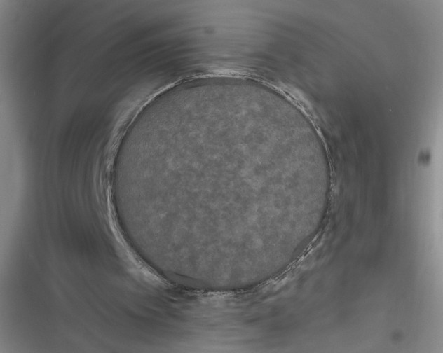 X0000116850097201001121228