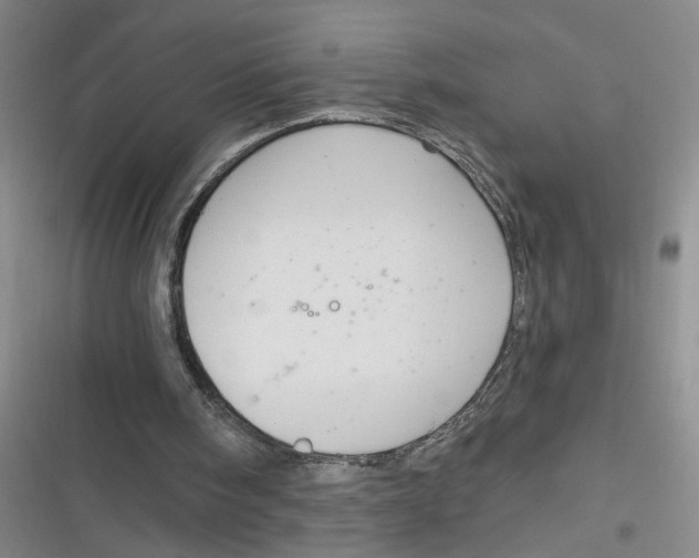 X0000116850098201001121228