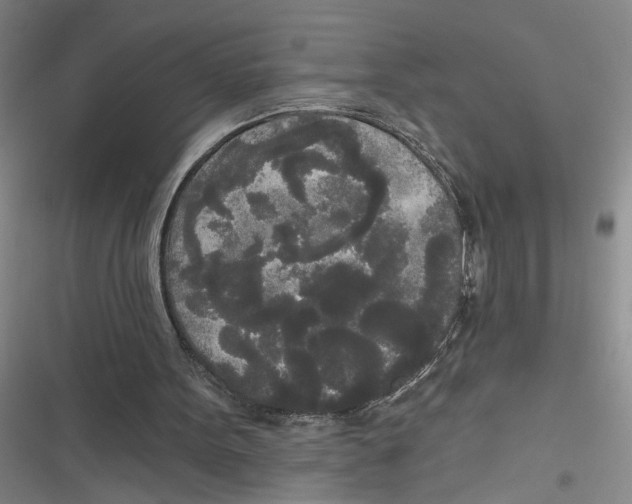 X0000116850099201001121228