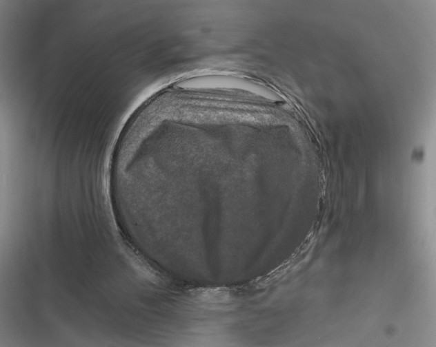 X0000116850100201001121228