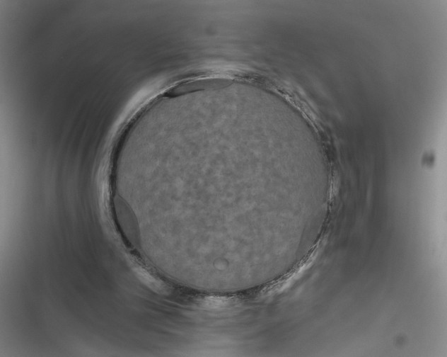 X0000116850101201001121228