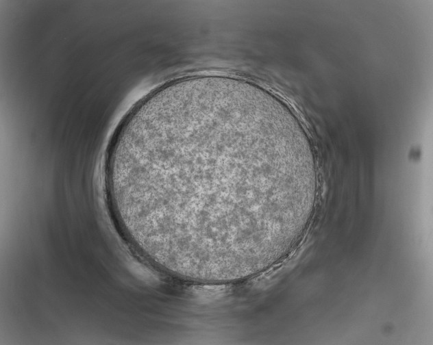 X0000116850102201001121228