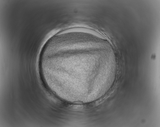 X0000116850104201001121228
