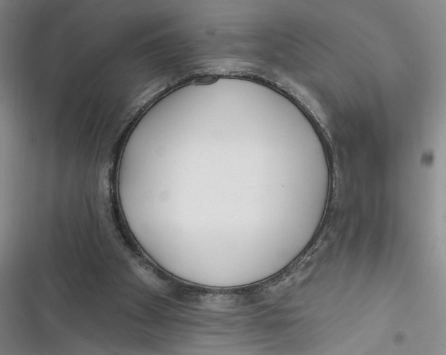 X0000116850105201001121228
